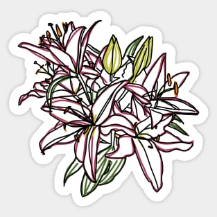 Lily Flowers Color Line Drawing Sticker